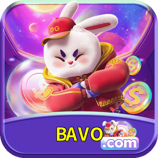 BAVO Logo